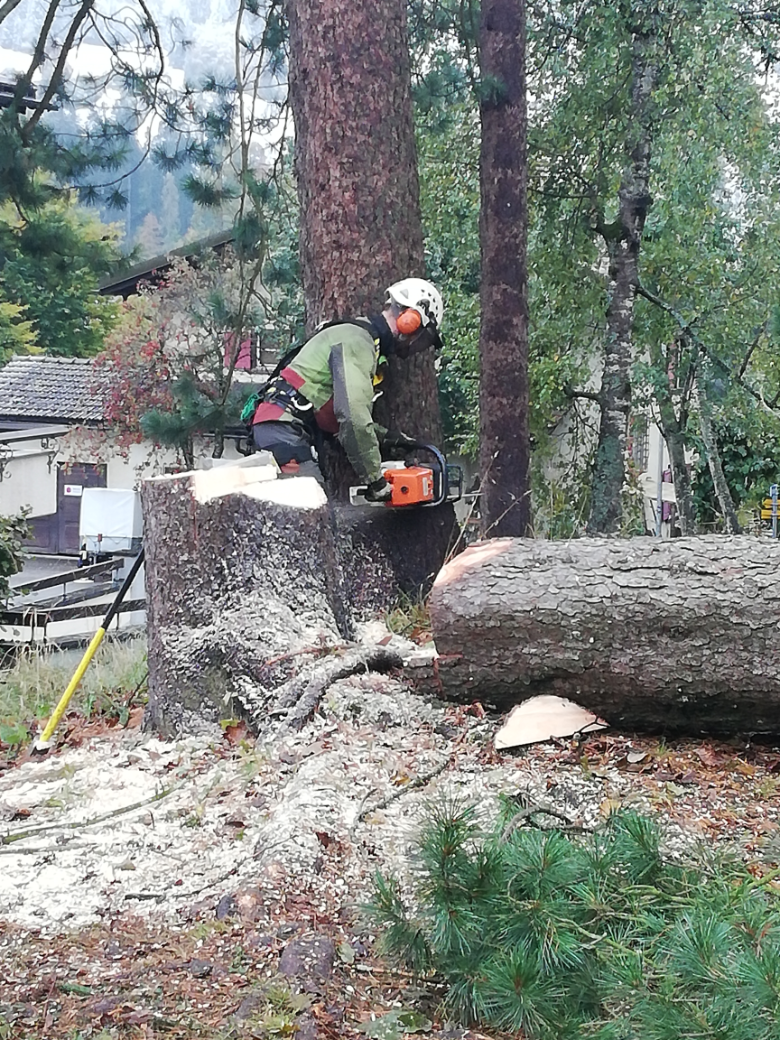 Christian beim holzen